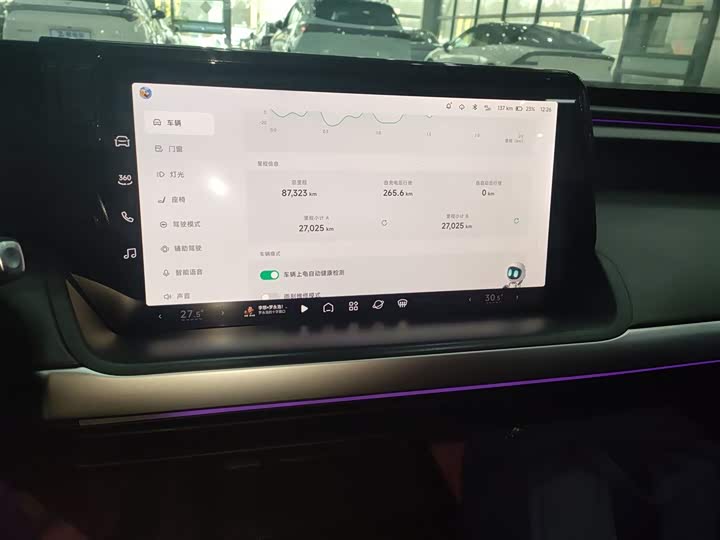 Фото 13 - XPeng P7