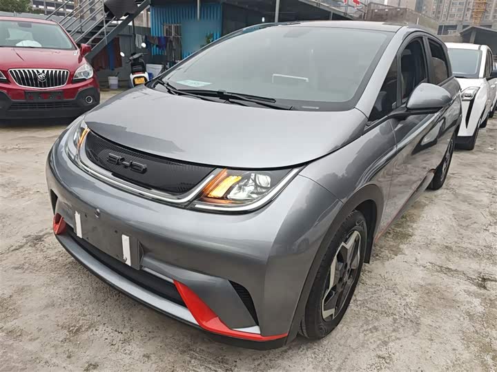 Фото 1 - BYD Dolphin