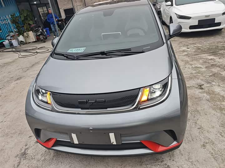 Фото 3 - BYD Dolphin