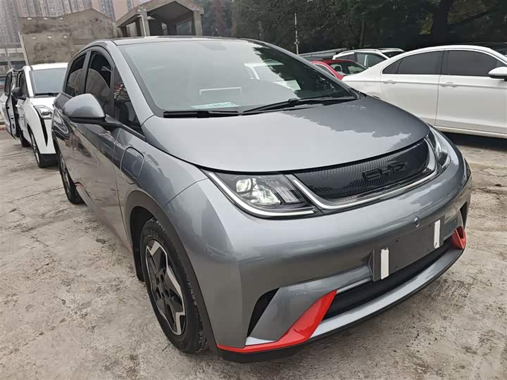 Фото 4 - BYD Dolphin