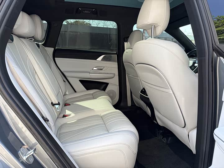 Фото 15 - XPeng G9