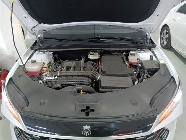 Фото 20 - BYD Qin Plus