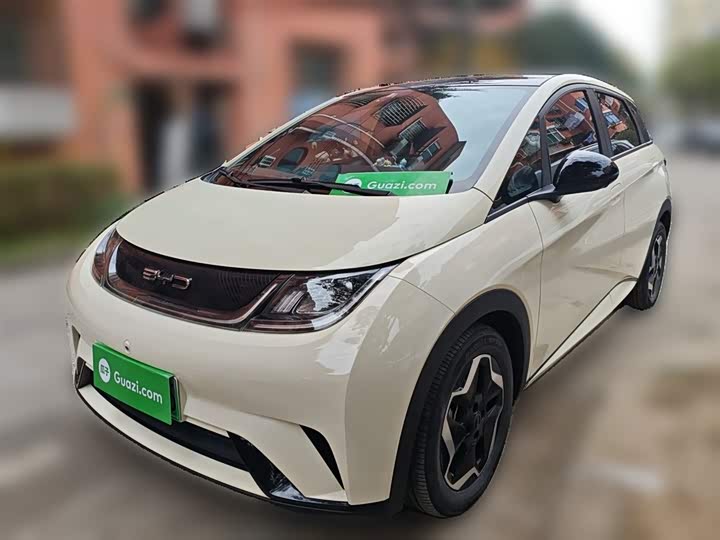 Фото 2 - BYD Dolphin