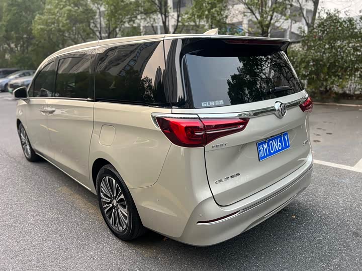 Фото 10 - Buick GL8 ES