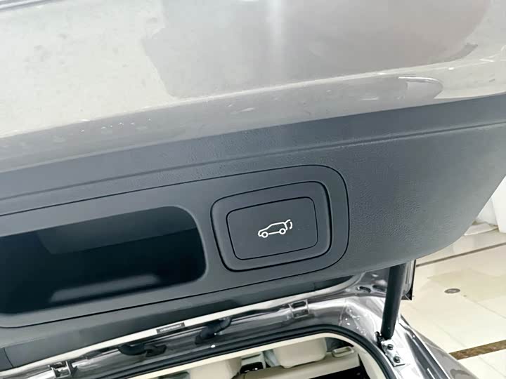 Фото 12 - Roewe D5X DMH