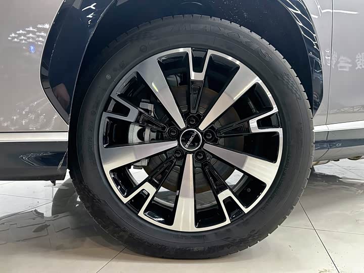 Фото 3 - Roewe D5X DMH