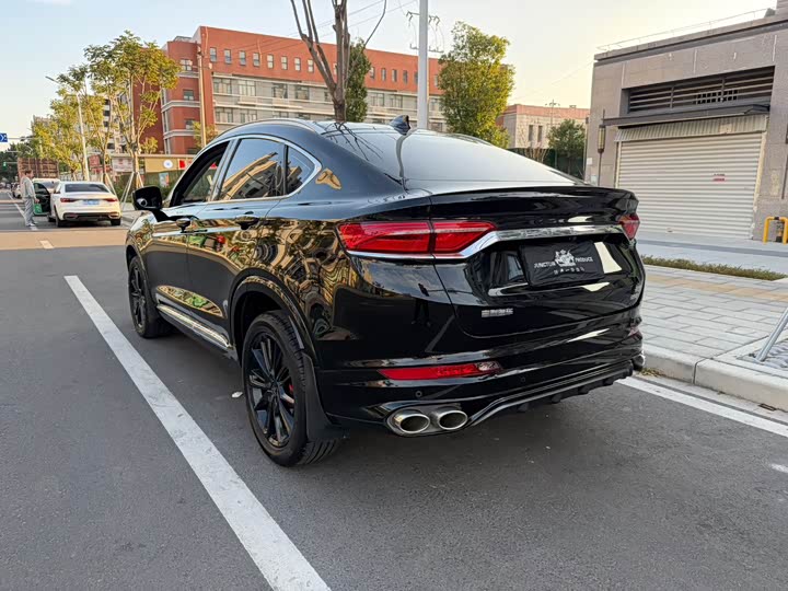 Фото 11 - Geely Tugella