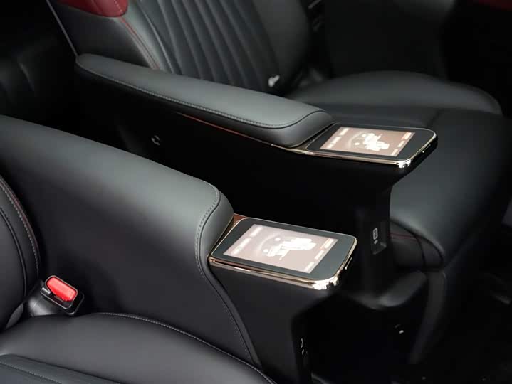 Фото 29 - GAC Trumpchi E9