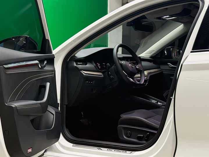 Фото 8 - Skoda Octavia Pro