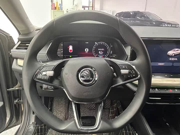 Фото 12 - Skoda Octavia Pro