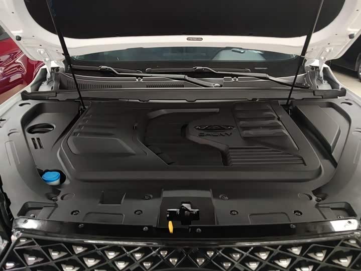 Фото 10 - Chery Tiggo 7 Plus