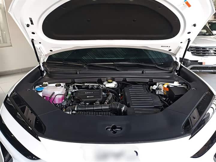 Фото 20 - BYD Sea Lion 06 Hybrid/EV