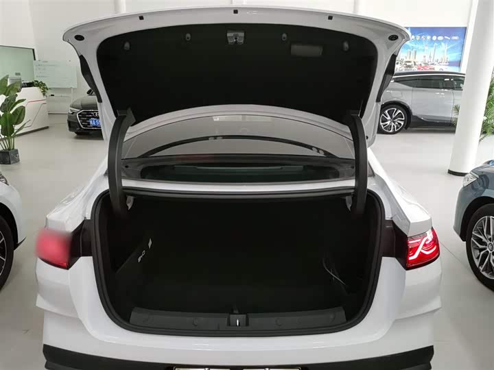 Фото 19 - BYD Qin L