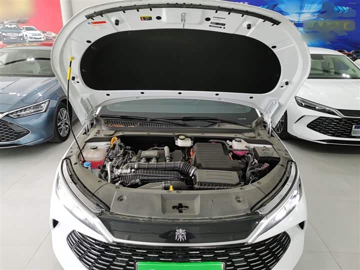 Фото 20 - BYD Qin L