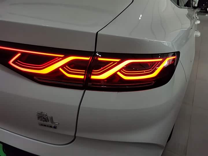 Фото 8 - BYD Qin L