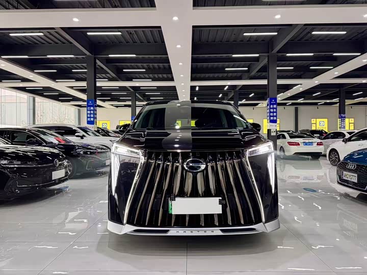 Фото 2 - GAC Trumpchi E9