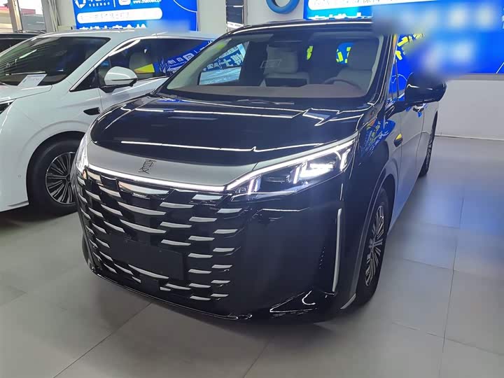 Фото 2 - BYD Xia