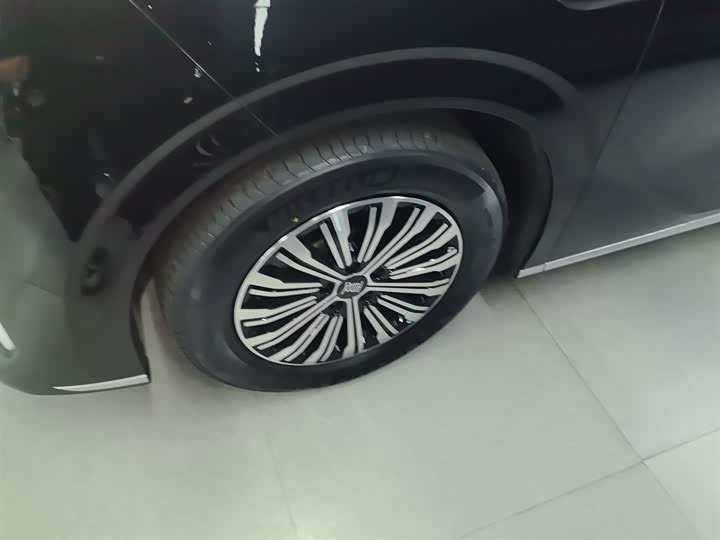 Фото 23 - BYD Xia