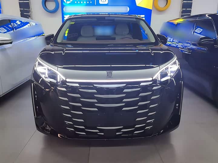 Фото 3 - BYD Xia