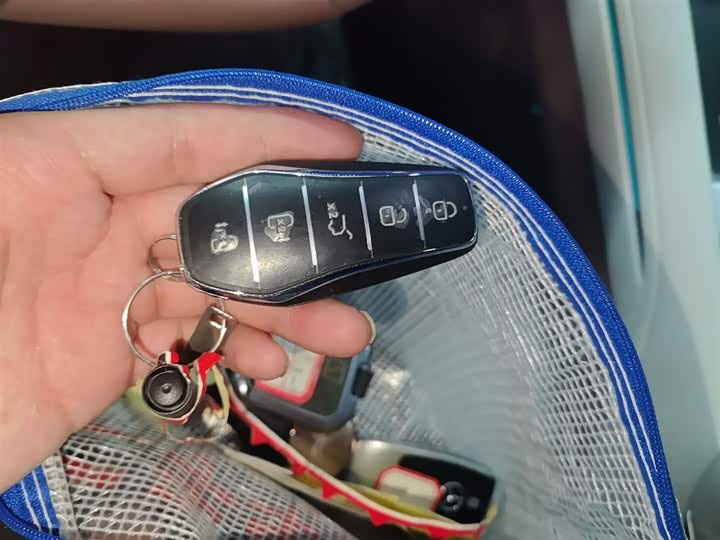 Фото 9 - BYD Xia