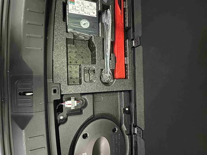 Фото 37 - GAC Trumpchi ES9