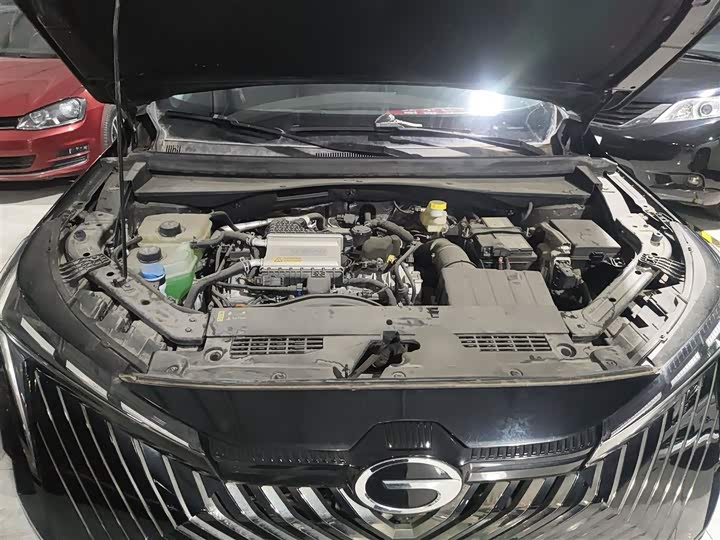 Фото 20 - GAC Trumpchi Emkoo
