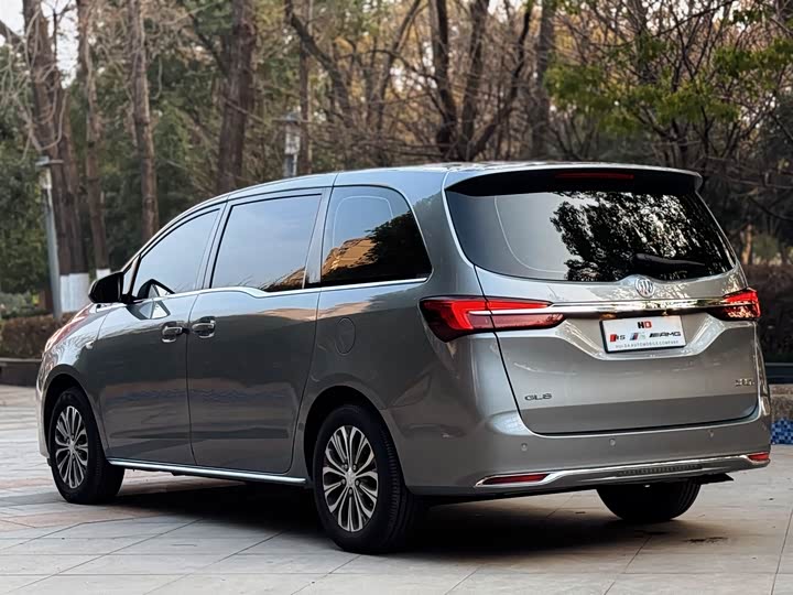 Фото 22 - Buick GL8 ES