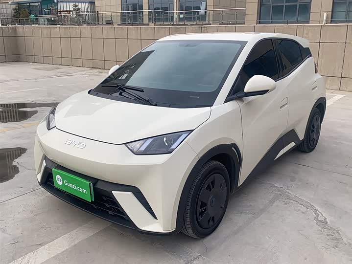 Фото 1 - BYD Seagull