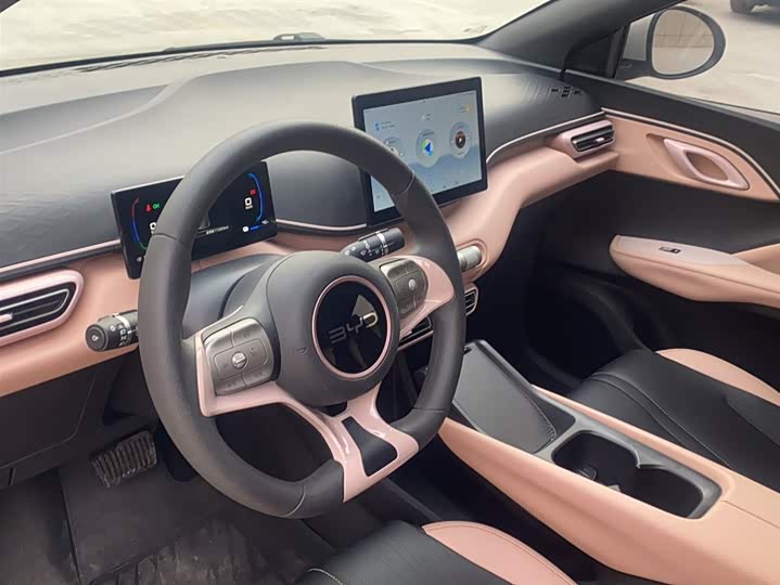 Фото 5 - BYD Seagull