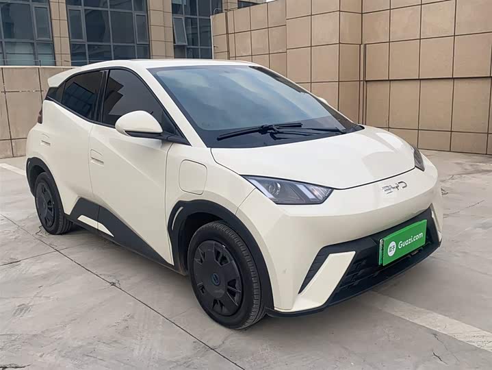 Фото 8 - BYD Seagull