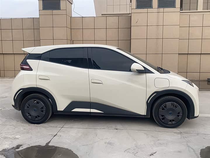 Фото 9 - BYD Seagull