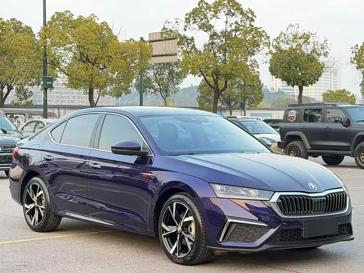 Фото 2 - Skoda Octavia Pro