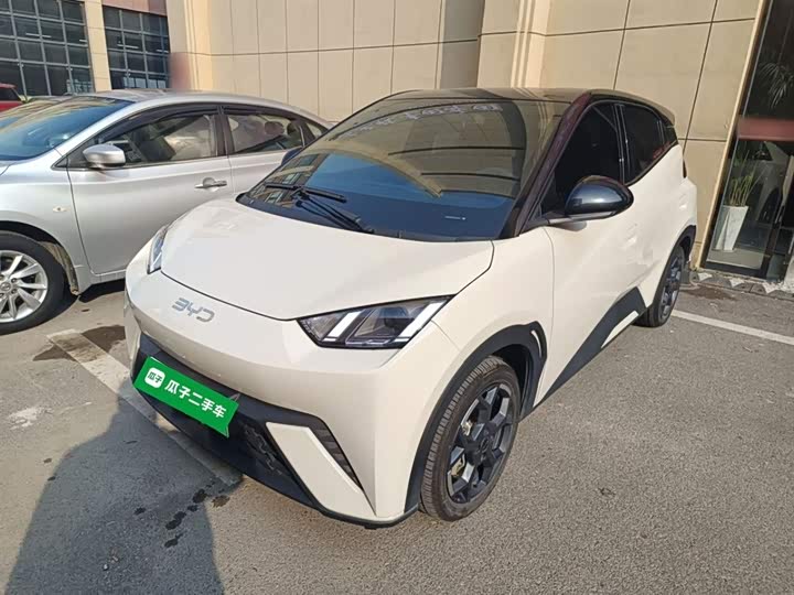 Фото 2 - BYD Seagull