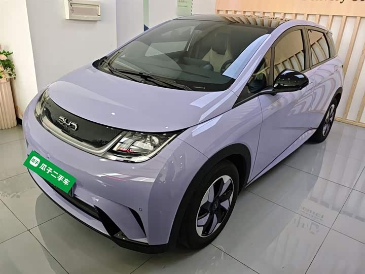 Фото 1 - BYD Dolphin