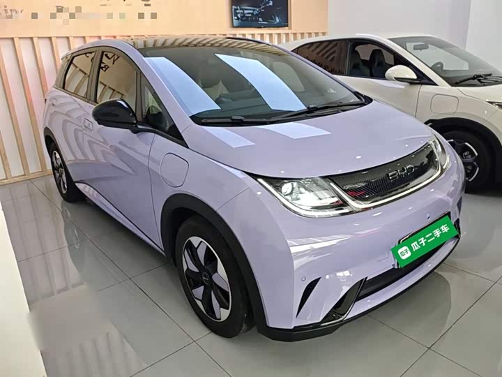 Фото 4 - BYD Dolphin