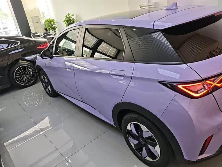 Фото 5 - BYD Dolphin