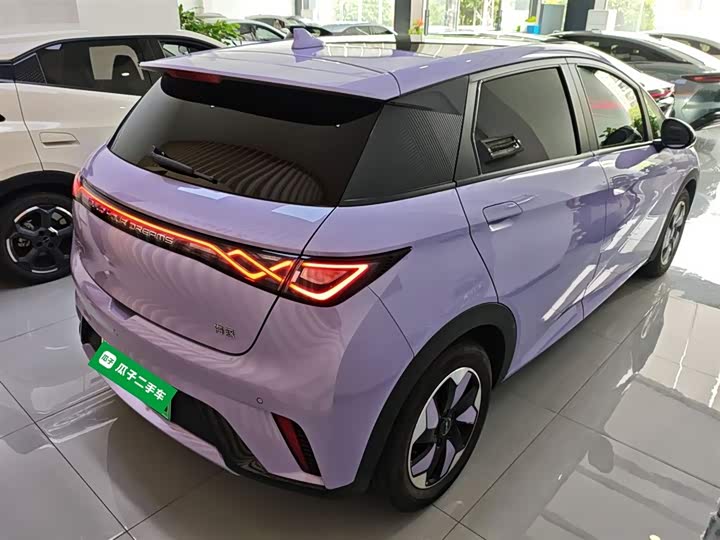 Фото 7 - BYD Dolphin