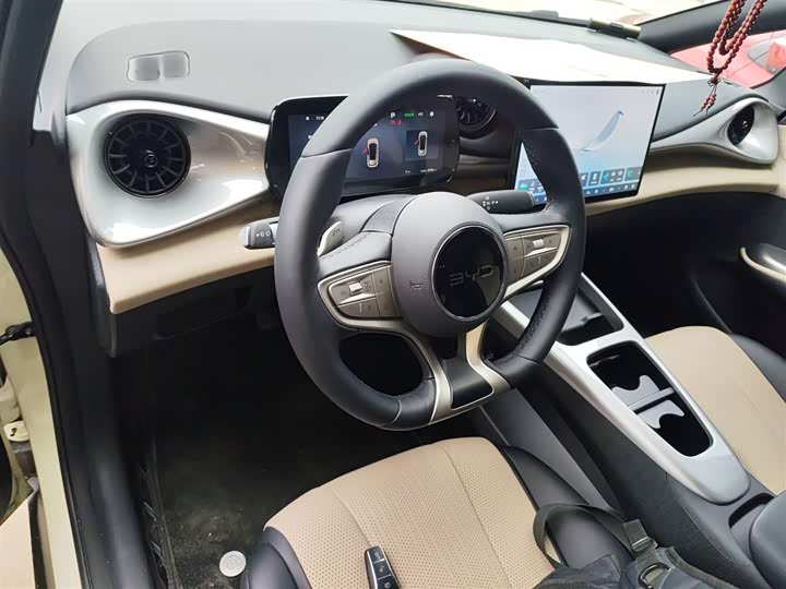 Фото 10 - BYD Dolphin