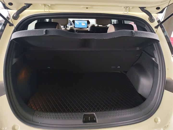 Фото 19 - BYD Dolphin