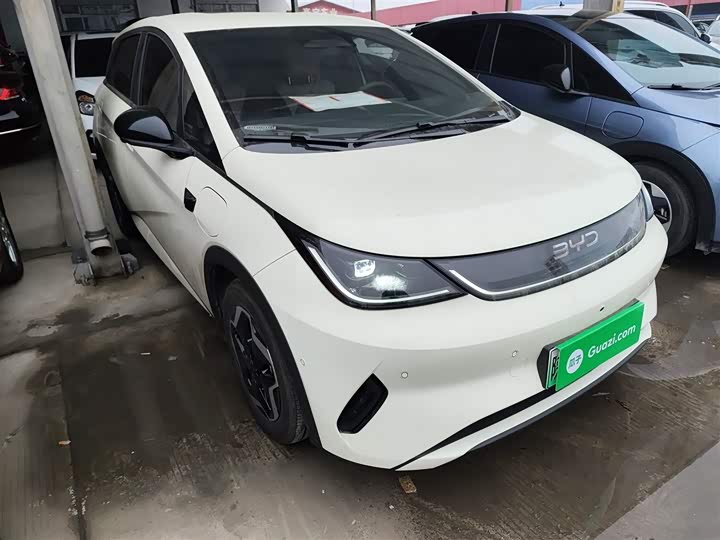 Фото 4 - BYD Dolphin