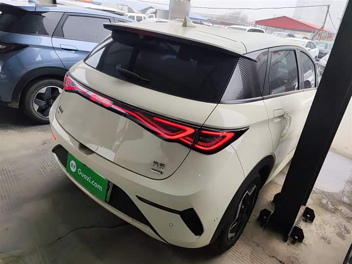 Фото 7 - BYD Dolphin