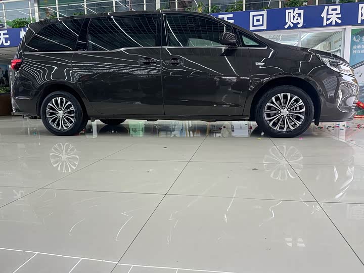 Фото 7 - Buick GL8 ES