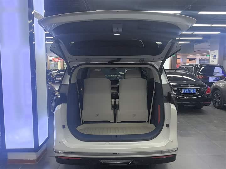 Фото 19 - Buick GL8 Hybrid