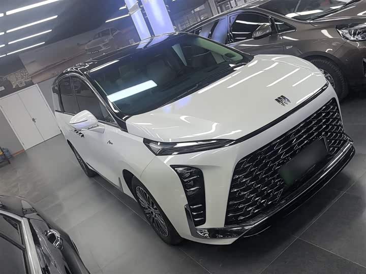 Фото 4 - Buick GL8 Hybrid