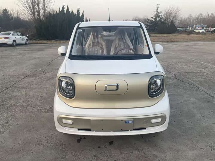 Фото 2 - Bestune Pony