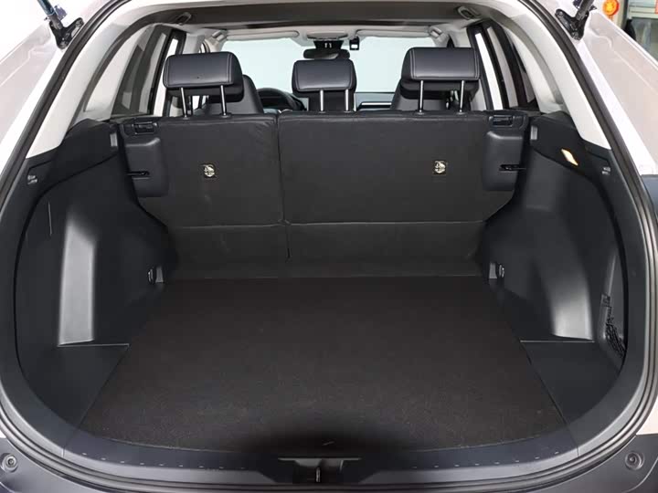 Фото 18 - Toyota Wildlander