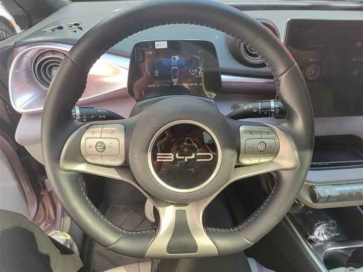 Фото 11 - BYD Dolphin