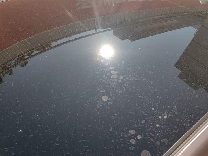 Фото 27 - BYD Dolphin