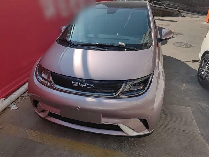 Фото 3 - BYD Dolphin