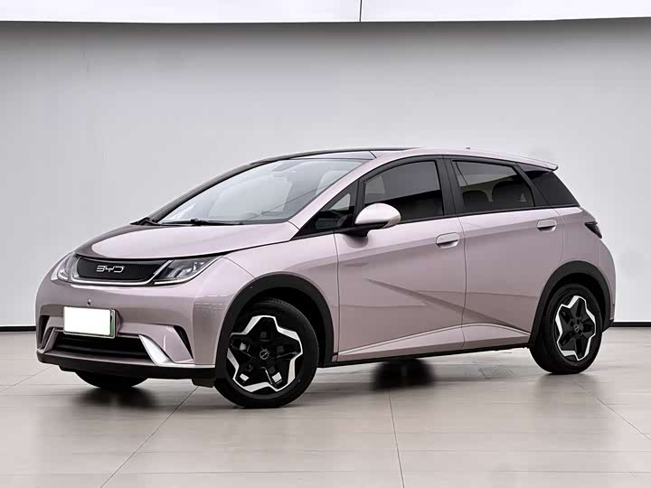 Фото 1 - BYD Dolphin